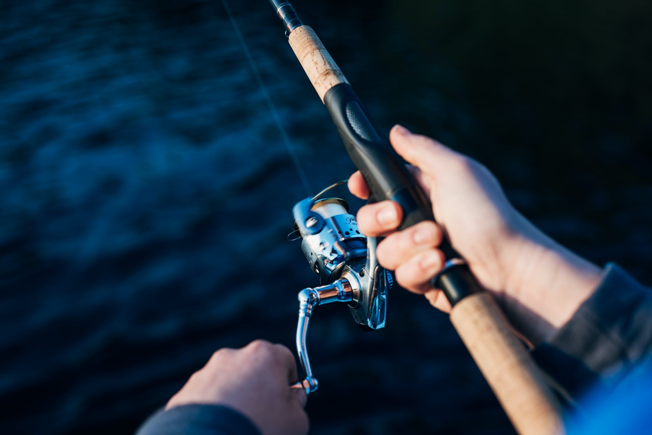5 Essential Pieces of Fishing Gear for the Avid Angler